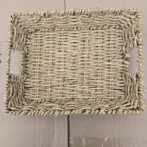 Wicker Rattan Basket Serving Tray Rectangle Metal Frame Storage Decor Woven